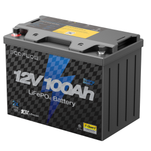 EcoFlow 100Ah LFP Battery